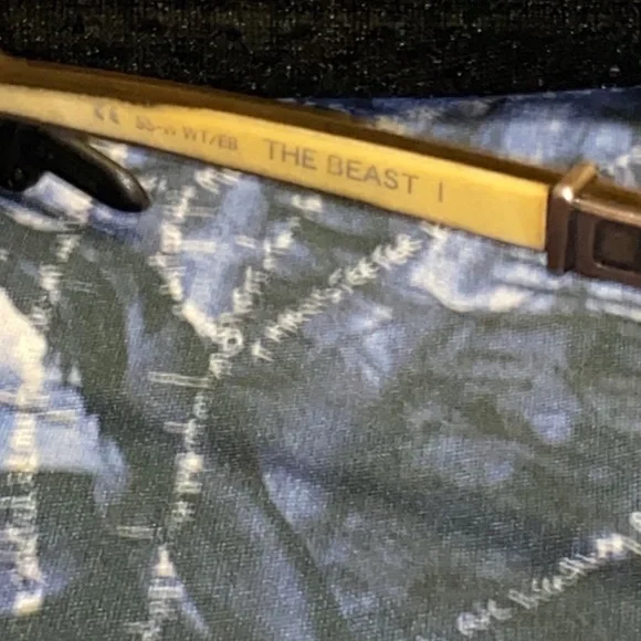 Chrome Hearts The Beast 1 Sunglasses - Picture 7 of 14